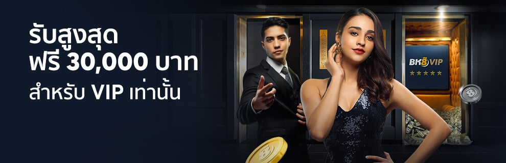 โปรโมชั่นสำหรับ VIP เท่านั้น