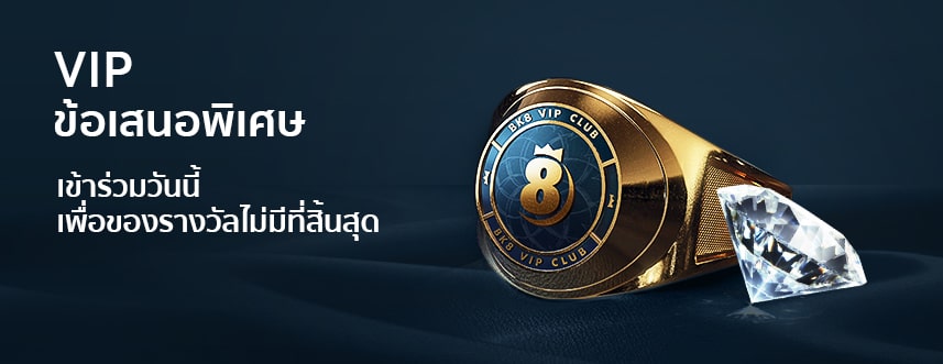 โปรโมชั่นสำหรับ vip
